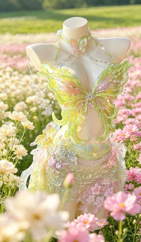 Princess Butterfly Elegant Handmade Dress Halloween Cosplay Dress Set